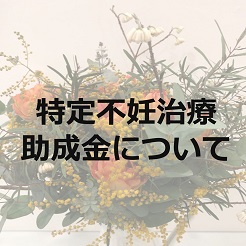 特定不妊治療助成金について 桃クリブログ 大阪の不妊治療なら 園田桃代artクリニック