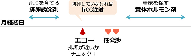 床 交渉 性 着 時期 受精日の計算方法！性行為から着床までの期間はどれくらい？【助産師監修】